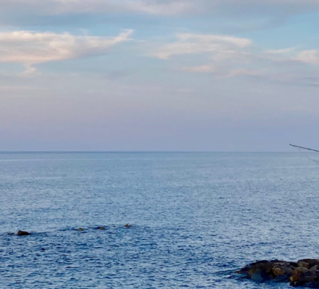 TRabocco