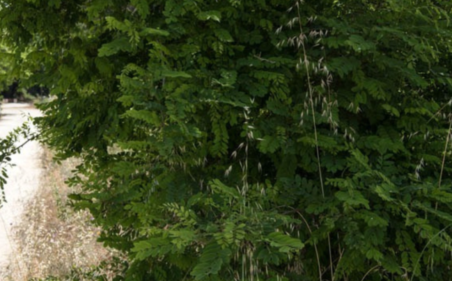 In bici nelle aree e riserve naturali lungo la Via Verde