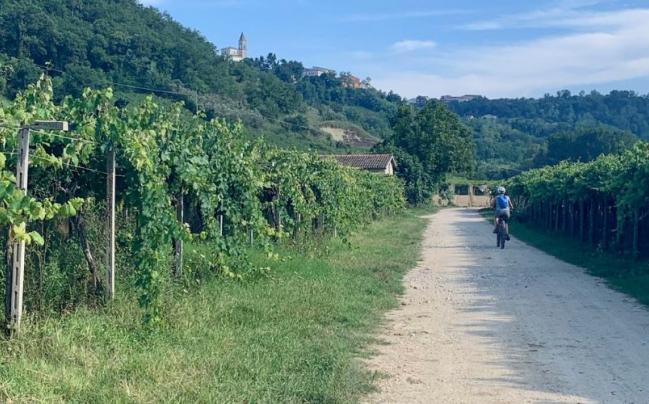 Bici fra i vigneti