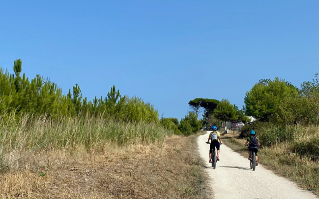 Strada bianche e transumanza - Foto di Alessandro Ricci 