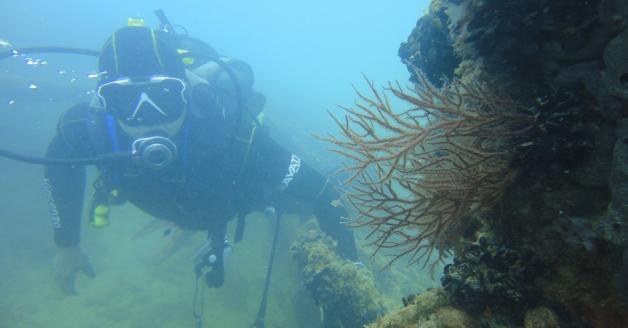 trabocchi active