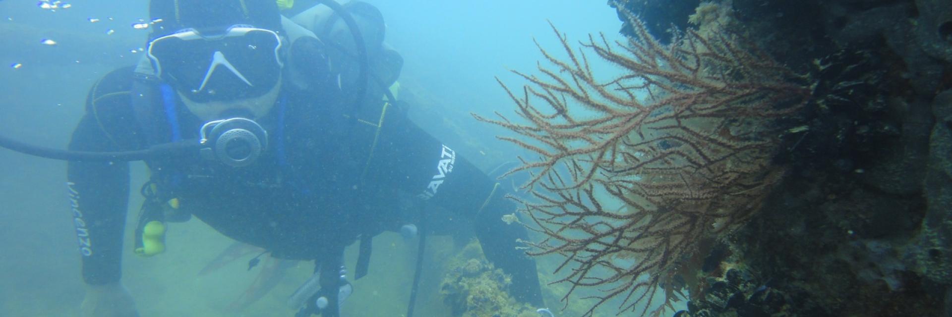 trabocchi active